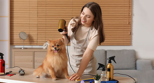 Nail trimming for dogs