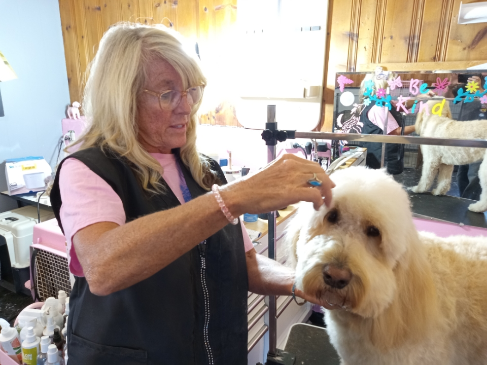 Owner and lead groomer at Mid Town Grooming LLC
